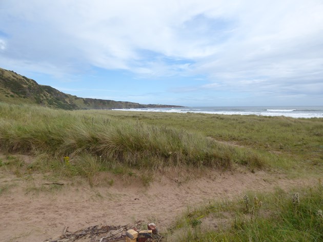 St Cyrus bothy view - credit Scottish Natural Heritage