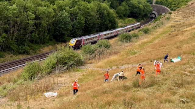 ‘Green hay’ helps rare butterfly habitat bloom beside Warwickshire railway: Laying green hay at Harbury cutting