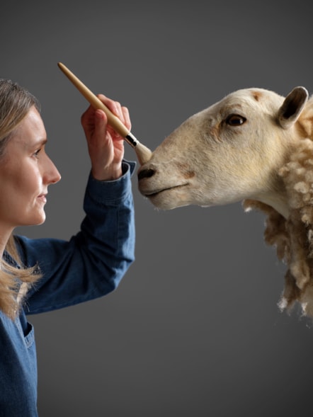 Curator Zena Timmons prepares Morag for display. Photo © National Museums Scotland (6)