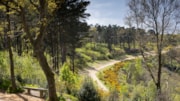 1333088 Hindhead Commons and the Devil's Punch Bowl National Trust Images Chris Lacey: 1333088 Hindhead Commons and the Devil's Punch Bowl National Trust Images Chris Lacey