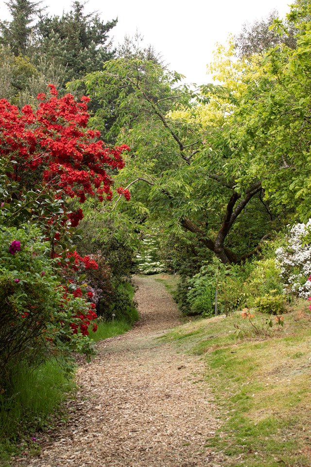 HES - Glenwhan Gardens, path to west of house from south