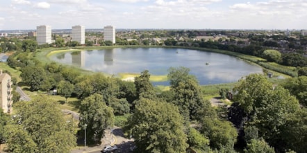 Woodberry Wetlands 