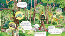 Comic book sample - lichen: Comic book sample - lichen