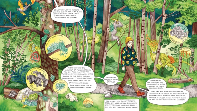 Comic celebrating community and conservation launched on the north coast: Comic book sample - lichen