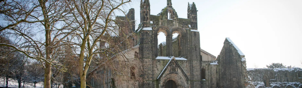 Starry Winter Walk at Kirkstall Abbey: Starry Winter Walk at Kirkstall Abbey
