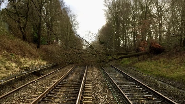Passengers warned of likely rail disruption as Storm Dennis sweeps across Britain: Tree blocking all lines at Four Ashes in Staffordshire