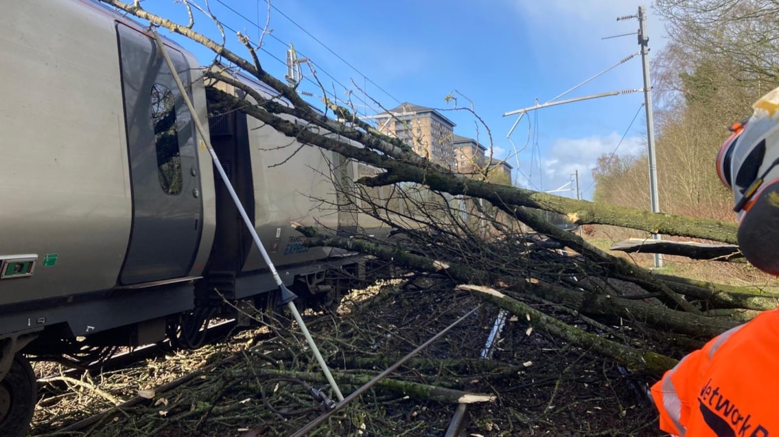 Passengers urged to check before travelling as strong winds cause disruption between Preston and Manchester: Lostock tree fall 6