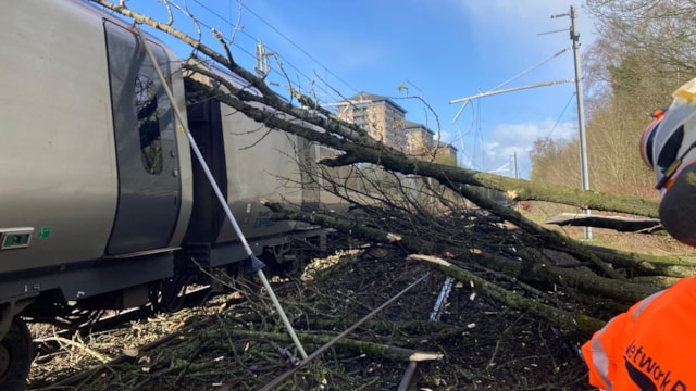 Passengers urged to check before travelling as strong winds cause disruption between Preston and Manchester: Lostock tree fall 6