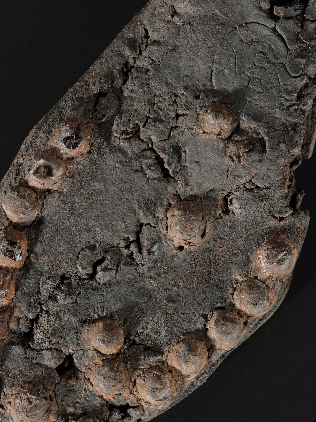 Stamped woman's shoe, Rough Castle, c.1st - 2nd Century AD . Photo © National Museums Scotland