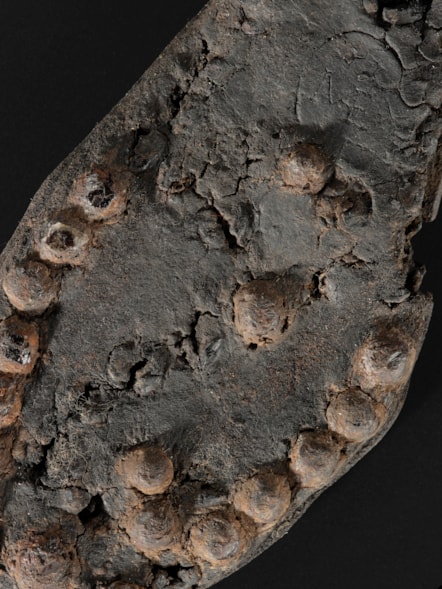 Stamped woman's shoe, Rough Castle, c.1st - 2nd Century AD . Photo © National Museums Scotland