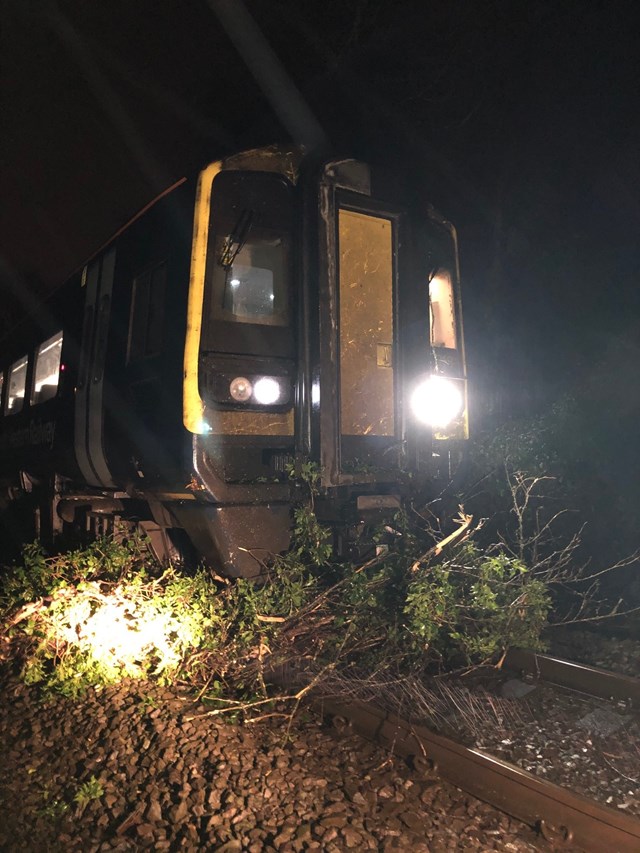 Fallen tree near Salisbury 15022020