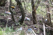 50% of Scottish adults admit to littering in past 12 months: 50% of Scottish adults admit to littering in past 12 months