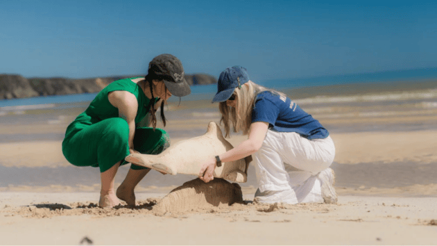 Tha Fèis Fiadh-bheatha nan Eilean a’ tilleadh ann an 2026: seo mar a ghabhas tu pàirt: Making sand whales at the event, 'Keening: Song of the Stranding' - Outer Hebrides Wildlife Festival 2025 / A’ dèanamh mhucan-mara le gainmheach aig tachartas 'Keening: Song of the Stranding' – Fèis Fiadh-bheatha nan Eilean 2025 (c) Phil Hall