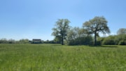 3. Tanyard Meadows, Horley: Tanyard Meadows, Horley
