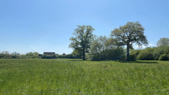 Help shape Horley’s new town park – give your view on initial designs: 3. Tanyard Meadows, Horley