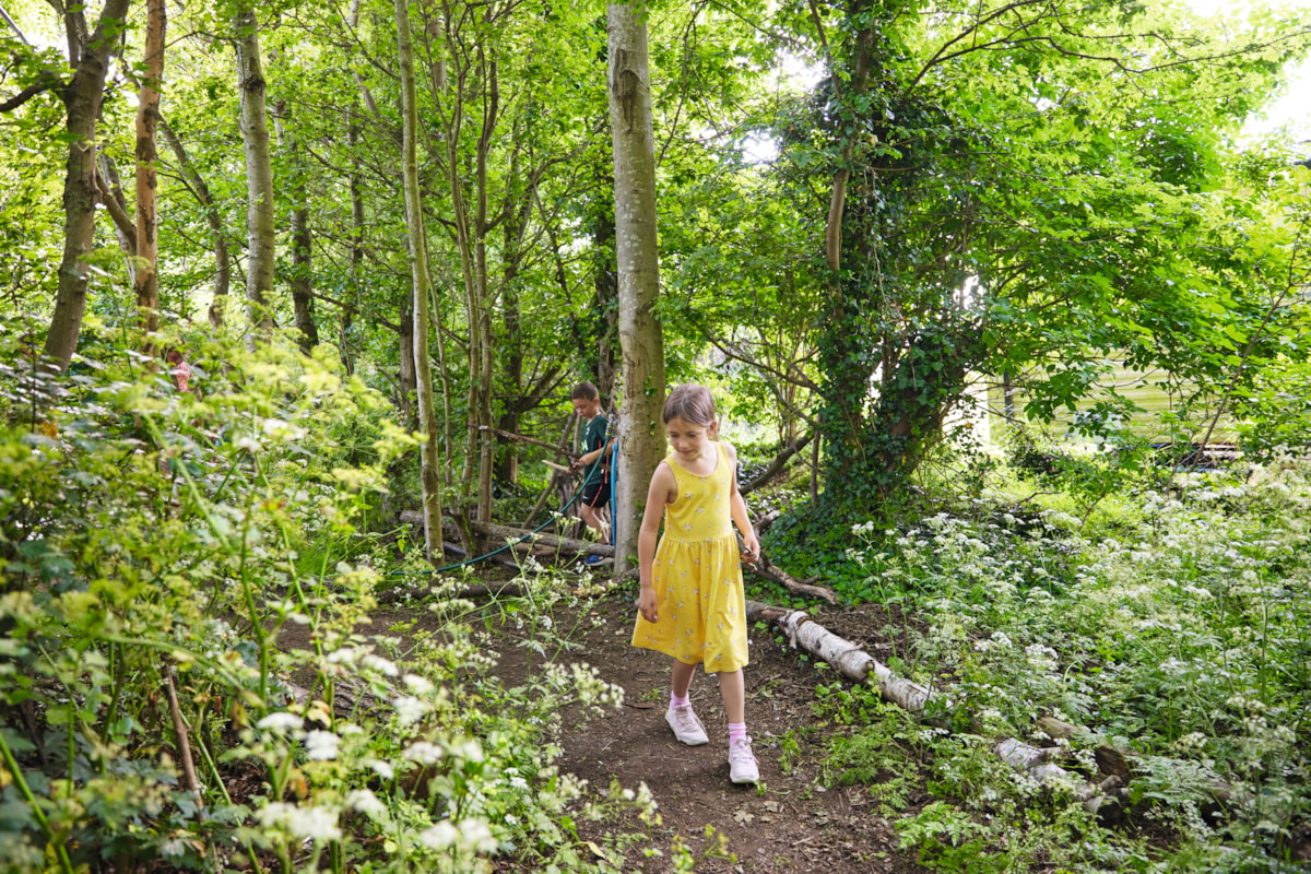 Woodland walk, Kent Coast