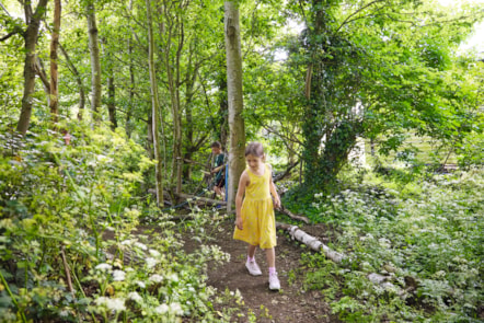 Woodland walk, Kent Coast