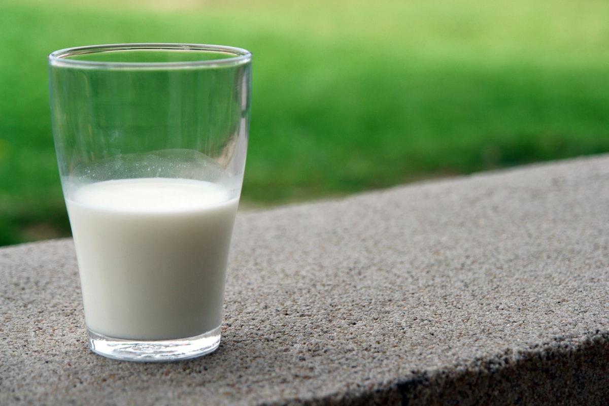 Milk-2