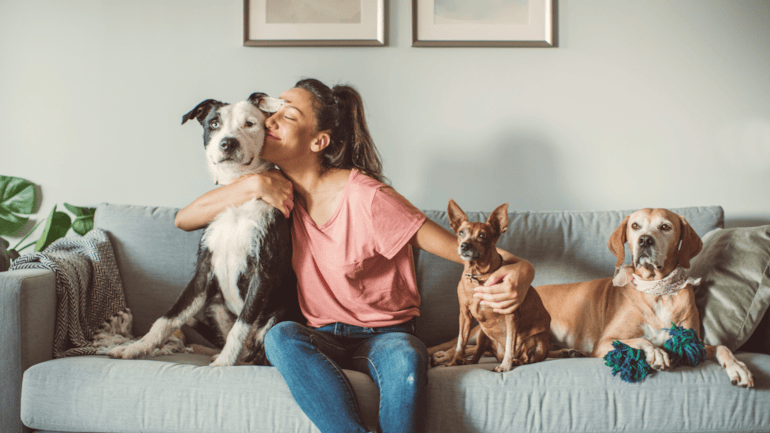 Revealed: UK’s favourite dog and cat names for 2025