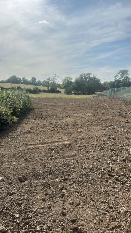 Land re-instatement: Land re-instatement