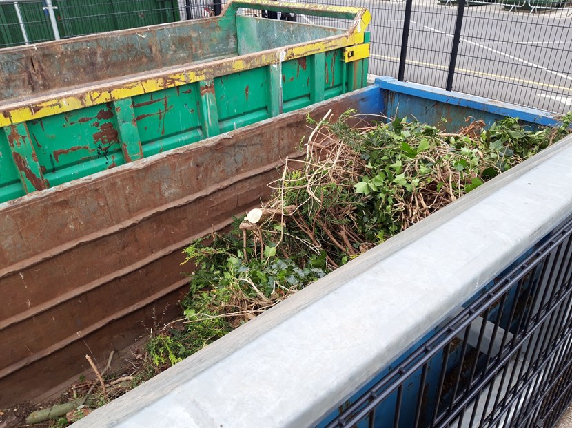 Garden waste collection pauses during winter and springs back into action in March: 20190412-114746-483566.jpg