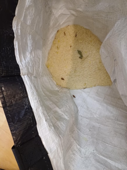 Live cockroaches inside bag of rice