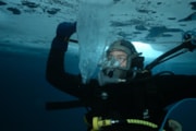 Diver under ice looking a a sea brine column. John Withers.: Diver under ice looking a a sea brine column. John Withers.