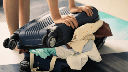 suitcase