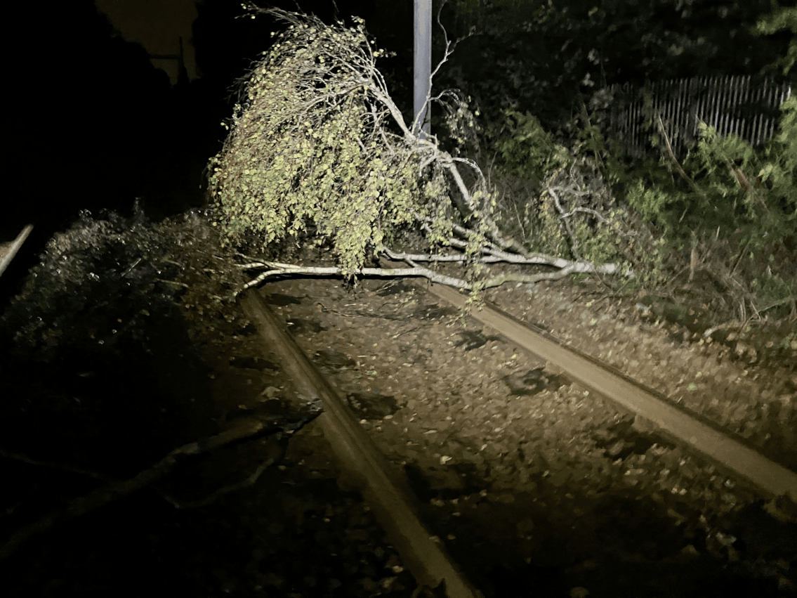Fallen tree on railway line - Carr Mill (24 Oct)