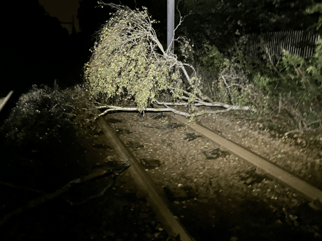Fallen tree on railway line - Carr Mill (24 Oct)