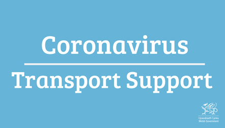 E coronavirus transport support