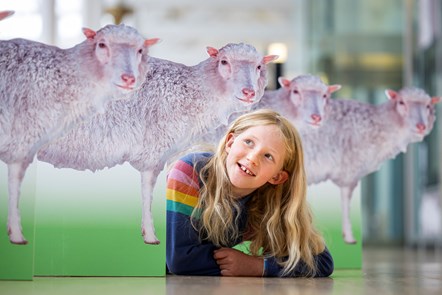 Edinburgh school pupil Connie Blacklaw (8), checks out a Dolly the Sheep-themed trail at the National Museum of Scotland, part of the programme for Maths Week Scotland, which starts today (Monday 25 September)-3 credit Duncan McGlynn