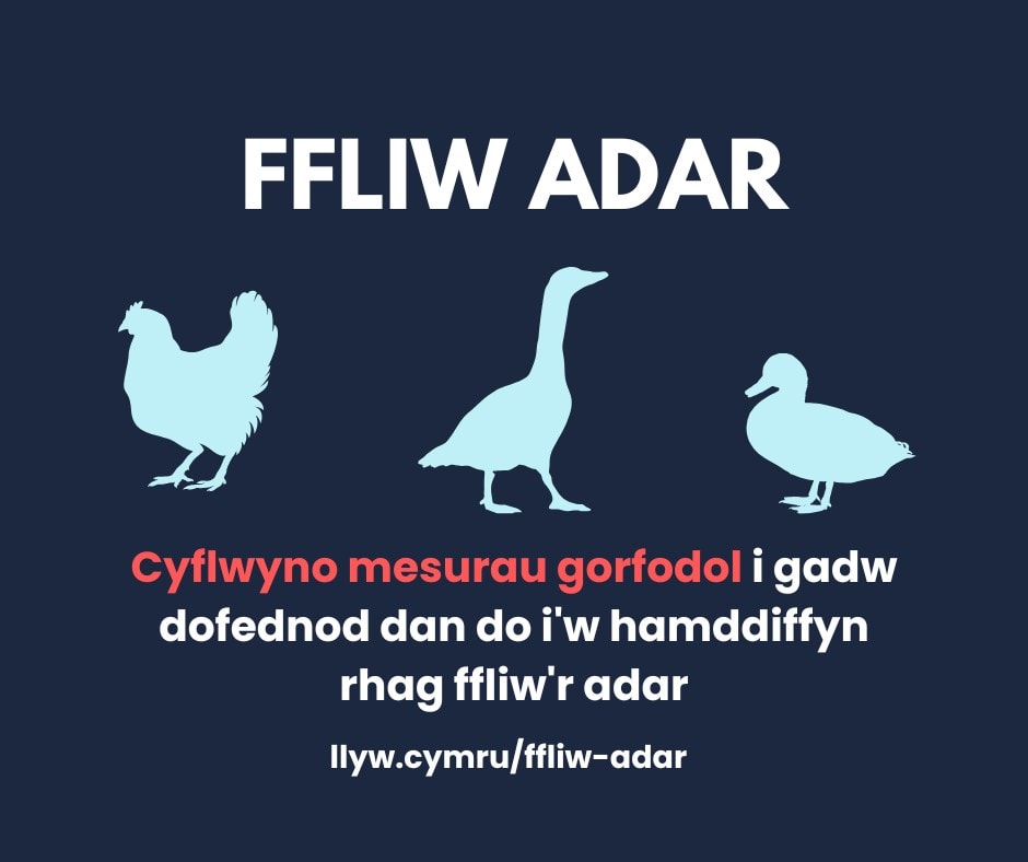 AI Housing CYM (Facebook Post)