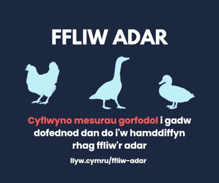 AI Housing CYM (Facebook Post)