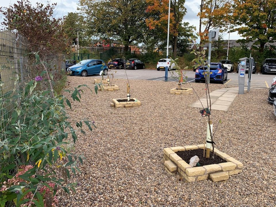 Image shows plantings at Leyland station