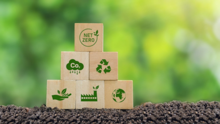 Climate Action scorecards