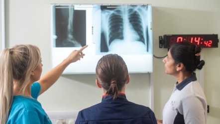 X-ray (6)