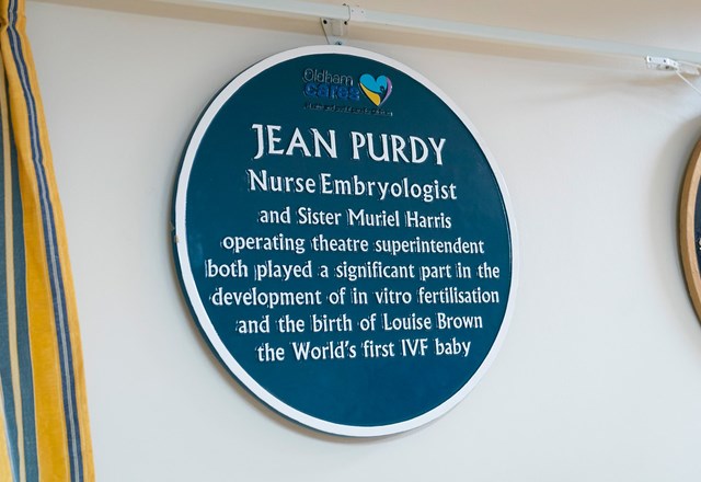 IVF Plaque