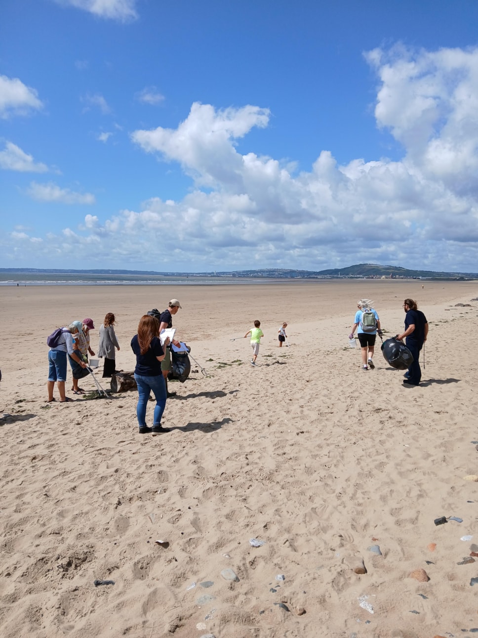 Capacity - Beach Clean and Comb 1