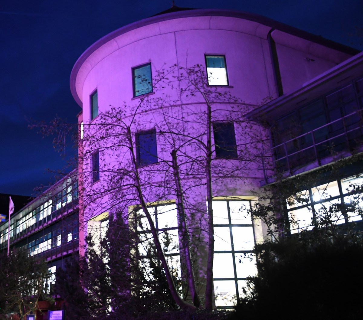 County Hall Purple - Porffor Neuadd y Sir