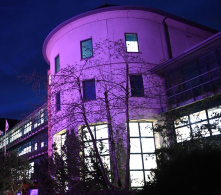 County Hall Purple - Porffor Neuadd y Sir