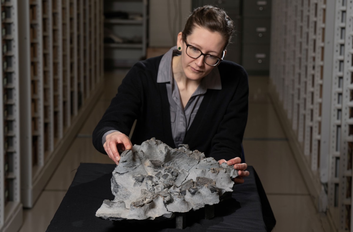 Dr Elsa Panciroli with the Elgol dinosaur fossil credit Neil Hanna 4