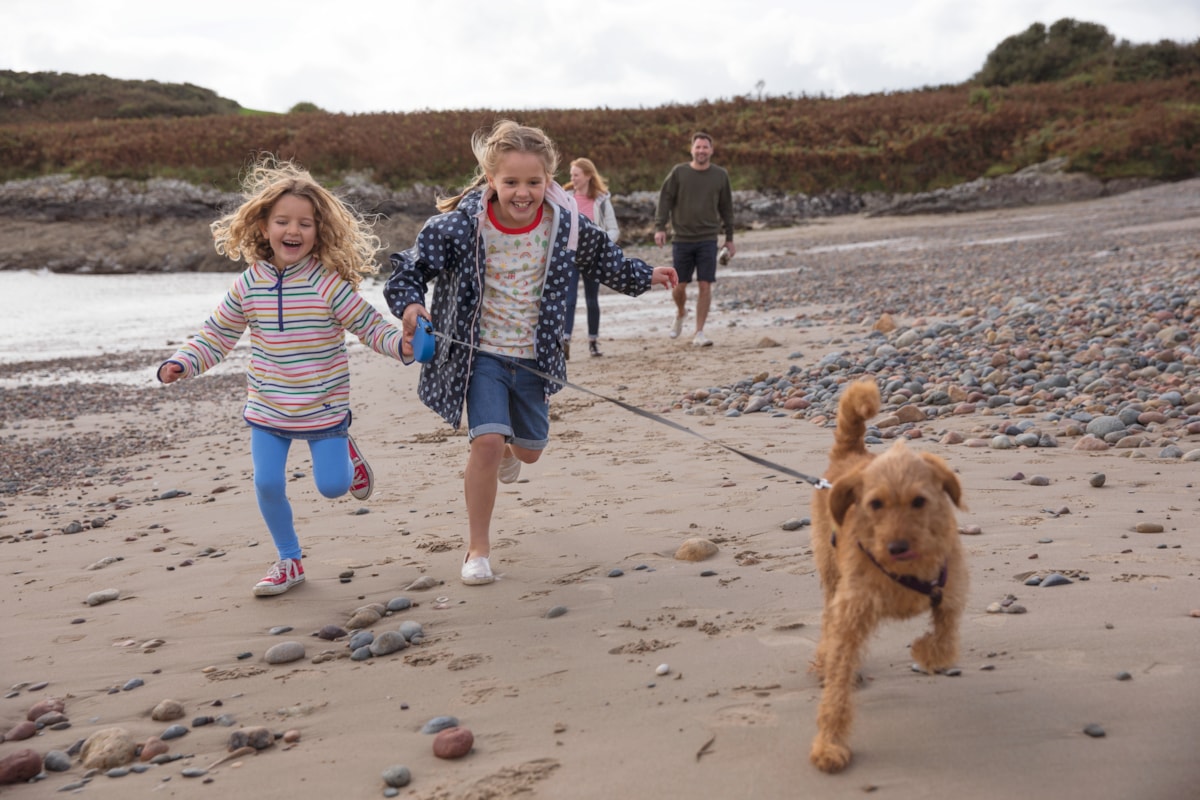 Beach walk at Hafan y Mor