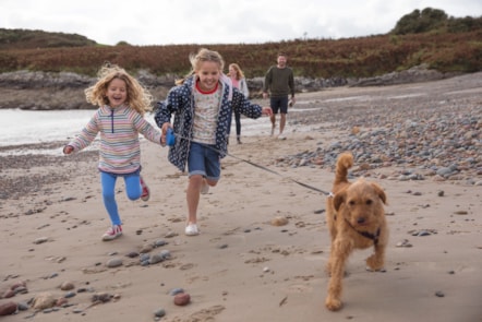Beach walk at Hafan y Mor