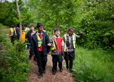 Claremont Primary School pupils explore the Bee Sanctuary at Highfield Country Park