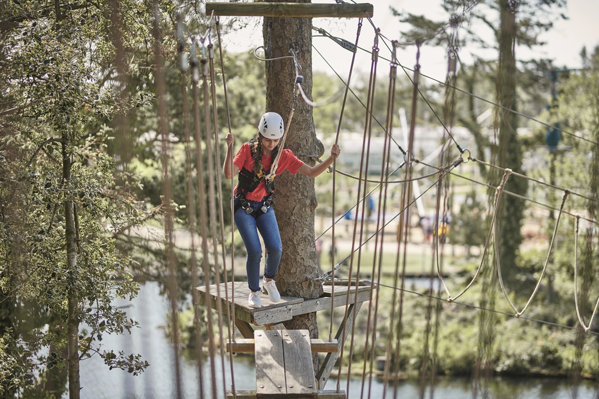 Aerial Adventure at Hafan y Môr