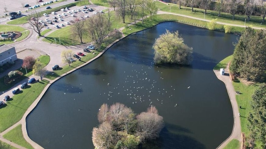 Cooper Park pond - drone image-2