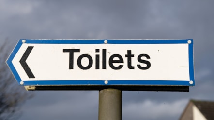 GettyImages-1387783097- Toilets