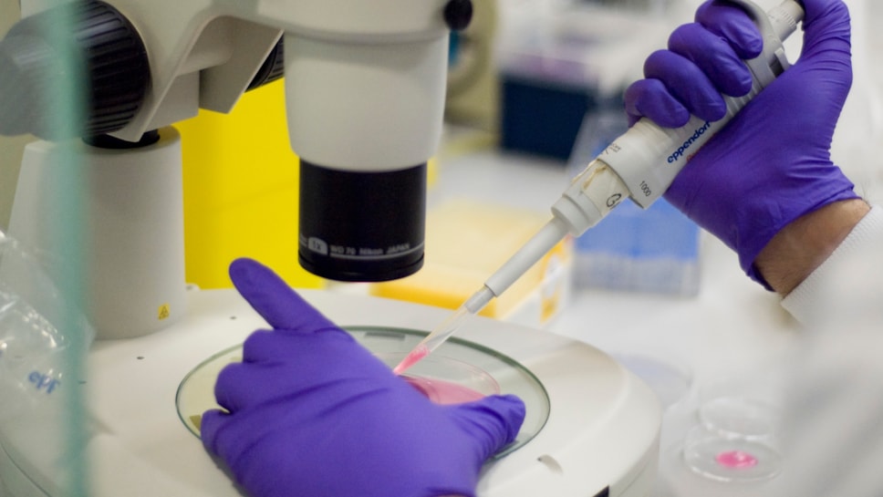 PCSM Research Hub-3