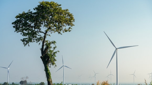 Multilateral development banks increase climate finance to record $163 billion in 2025, supporting climate-resilient and sustainable growth: GettyImages-2185353542